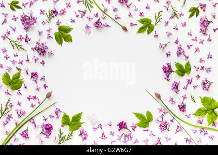 Frame of fresh lilac flowers and green hop leaves on white background. Flat lay border composition, top view. Stock Photo