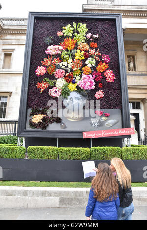 Trafalgar Square, London, UK. 3rd June 2016. Giant recreation of Dutch flower painting: A Still Life of flowers in a Wan-Li Vase Stock Photo