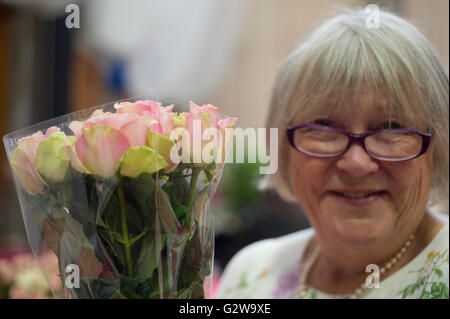 Westminster, London, UK. 3rd June 2016. Rose specialists and nurseries put final touches to their displays as the Rose Show opens to the public for two days at RHS Lawrence Hall in central London. Credit:  jardinimages/Alamy Live News. Stock Photo