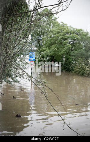 Paris, France. 03rd June, 2016. Flood of the Seine in Paris - Spring 2016 Stock Photo