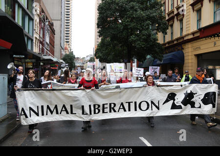 Sydney, Australia. 4 June 2016. Animal Liberation NSW held a rally