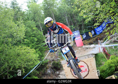 Fort William, Scotland, UK. 04th June, 2016. Danny Hart GBR practicing on the course for the Downhill Mountain Bike World Cup at Fort William, Scotland on June 4th 2016. Credit:  Malcolm Gallon/Alamy Live News Stock Photo