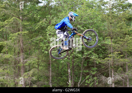 Fort William, Scotland, UK. 04th June, 2016. Rider practicing on the course for the Downhill Mountain Bike World Cup at Fort William, Scotland on June 4th 2016. Credit:  Malcolm Gallon/Alamy Live News Stock Photo