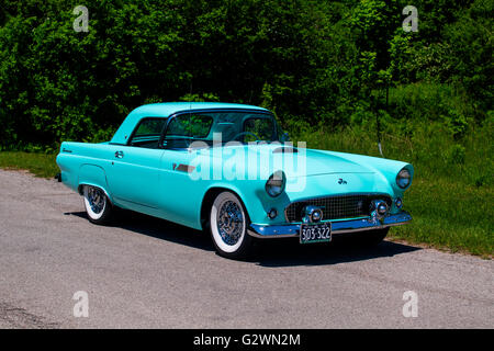 1955 Ford Thunderbird Stock Photo