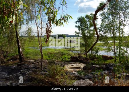 View of the wetlands and floodplains at Mount Borradaile, near Cooper Creek, West Arnhem Land, Northern Territory, Australia Stock Photo