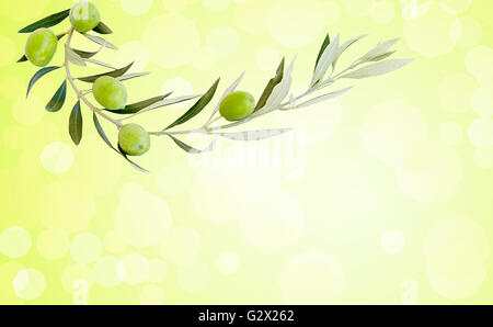 Five green ripe olives on branch, blurred background Stock Photo