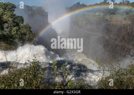 Victoria Falls in full flow seen from Zimbabwe Stock Photo