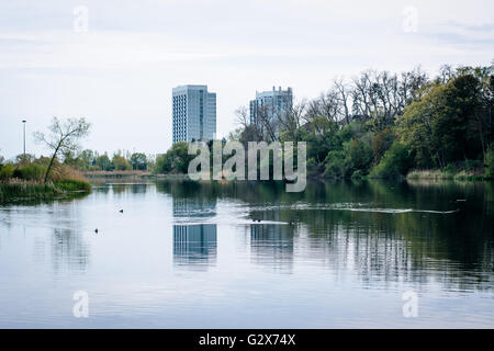 Condominium highrises and Grenadier Pond, at High Park, in Toronto, Ontario. Stock Photo