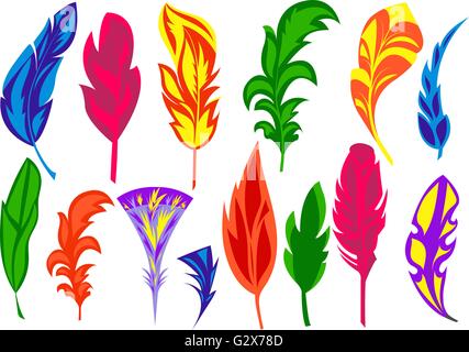 Set isolated colored feathers Stock Vector