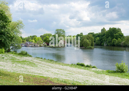 Taggs Island and River Thames, Hampton, London Borough of Richmond upon Thames, Greater London, England, United Kingdom Stock Photo