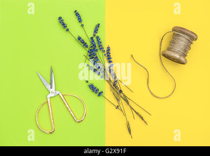 Lavender flowers and vintage scissors on yellow green background. Minimal concept flat lay Stock Photo
