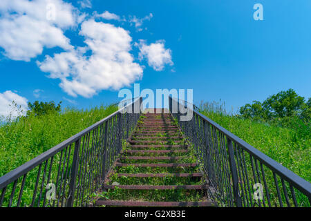 Stairway to heaven. Stairs among grass to blue sky. Stock Photo