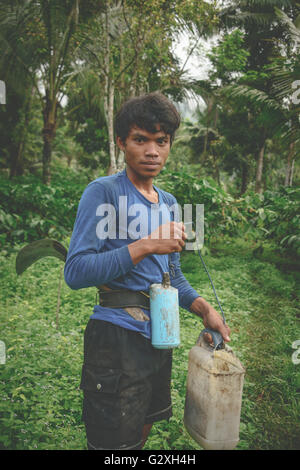 Coconut harvester collecting coconut milk at a plantation in Kalibaru, East Java Stock Photo