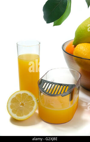 electric juicer to squeeze oranges, lemons and grapefruit photographed in studio on white background Stock Photo
