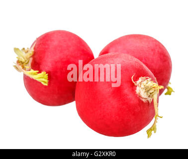 radish isolated on white background clipping path Stock Photo