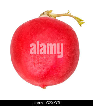radish isolated on white background clipping path Stock Photo