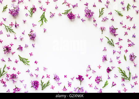 Floral border of fresh lilac flowers and green twigs on white. Flat lay, top view. Stock Photo