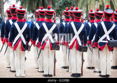 Badajoz, Spain - May 25, 2016: spanish troops during the Armed forces day. 6th Infantry Regiment Saboya period dressed Stock Photo