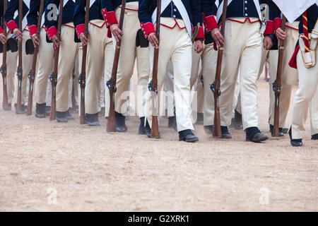 Badajoz, Spain - May 25, 2016: spanish troops during the Armed forces day. 6th Infantry Regiment Saboya period dressed Stock Photo