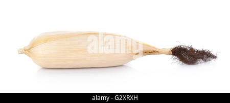 Dry corn on white background Stock Photo