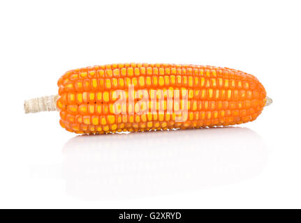 Dry corn on white on white background Stock Photo