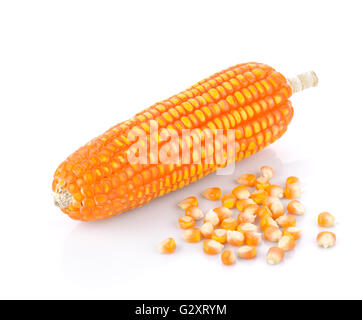 Dry corn on white on white background Stock Photo