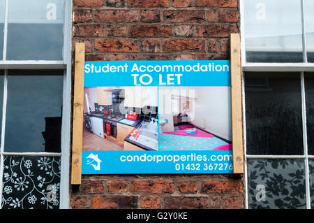Student accommodation to let sign on the front of a property. Stock Photo
