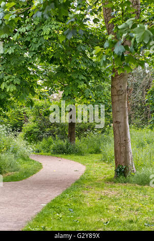 England, Christchuch, Macro, fauna, flora, flowers, botanical gardens, nature, natural, green, spring day, spring, sun, sunshine Stock Photo