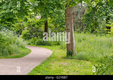 England, Christchuch, Macro, fauna, flora, flowers, botanical gardens, nature, natural, green, spring day, spring, sun, sunshine Stock Photo