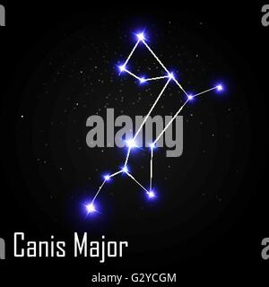 Canis Major Constellation with Beautiful Bright Stars on the Bac Stock Vector