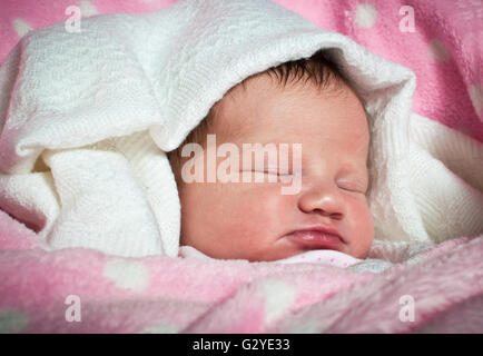 New born baby girl wrapped in a pink blanket Stock Photo