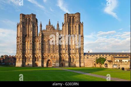 Wells Cathedral from the Cathedral Green in evening light, Wells, England, United Kingdom, Europe Stock Photo