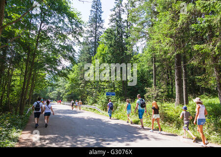 Group of tourists walking on the road to Morskie Oko lake, Czarny Staw and Rysy in High Tatra Mountains near Zakopane, Poland Stock Photo