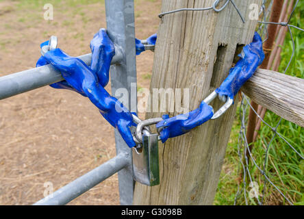 Padlock and chain securing a gate. Stock Photo