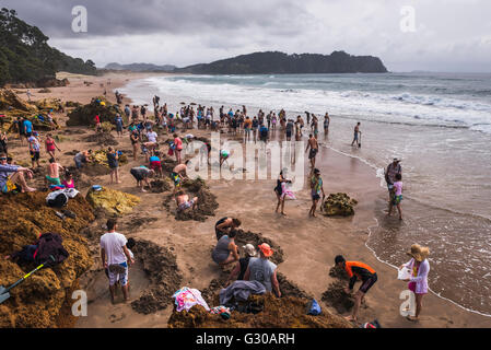 Hot Water Beach, Hahei, Coromandel Peninsula, North Island, New Zealand, Pacific Stock Photo