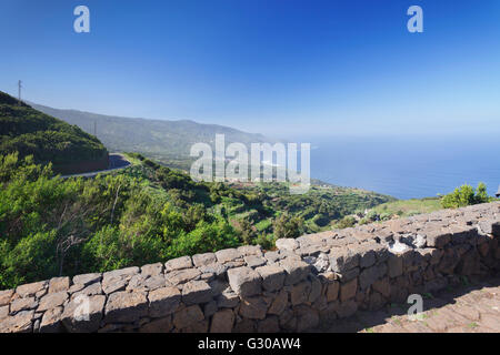 View from Mirador de la Tosca over the north coast, Canarian dragon tree (Dracaena draco), Barlovento, La Palma, Canary Islands Stock Photo