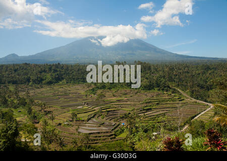 Gunung Batur volcano and rice fields in Bali, Indonesia seen from a hilltop terrace Stock Photo