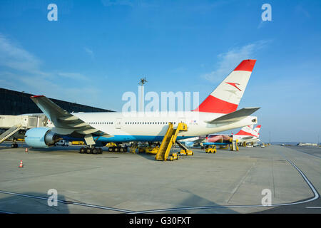 Vienna International Airport : aircraft of Austrian Airlines on the north pier, Austria, Niederösterreich, Lower Austria Donau, Stock Photo