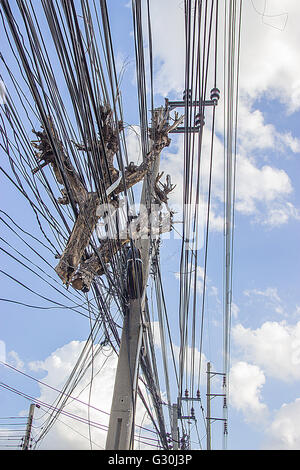 High-voltage power line timber prop with many wires, vertical view ...