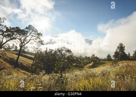 Mount Rinjani Volcano hiking Stock Photo