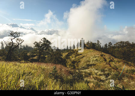 Mount Rinjani Volcano hiking Stock Photo