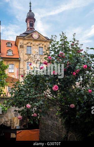 Old Town Hall in Bamberg with roses Stock Photo