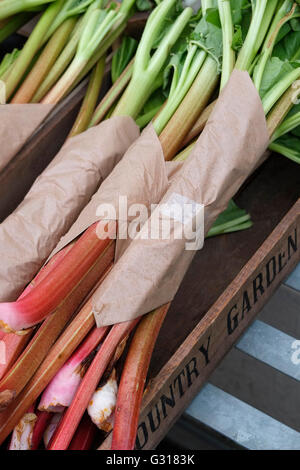 bunches of rhubarb wrapped in brown paper Stock Photo