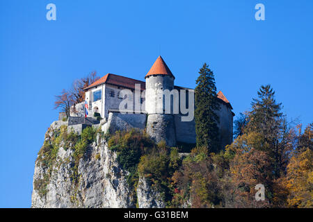 Bled Castle  built on top of a cliff overlooking lake