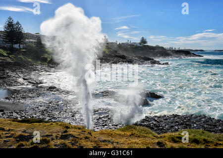 Little Blowhole, Kiama, Illawarra Coast, New South Wales, Australia Stock Photo