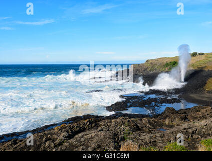 Little Blowhole, Kiama, Illawarra Coast, New South Wales, Australia Stock Photo