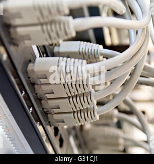 Patch Panel server rack with gray cords Stock Photo