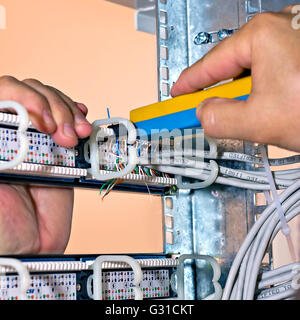 assembly network patch panels, rear view Stock Photo - Alamy