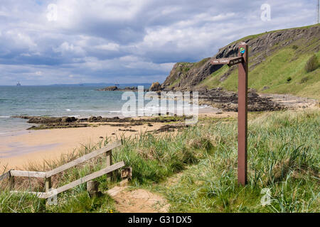 Fife Coastal Path signpost below Kincraig Hill at West Bay beach in Firth of Forth. Elie and Earlsferry East Neuk Fife Scotland Stock Photo