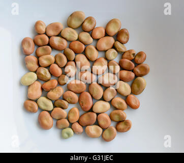 kidney beans on white background Stock Photo